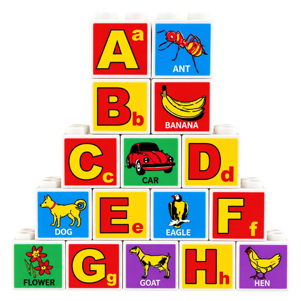 Fun & Learn (Medium)